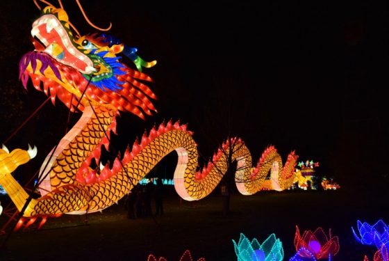 Ohio Chinese Lantern Festival: Traditional Beauty & Culture in Columbus ...