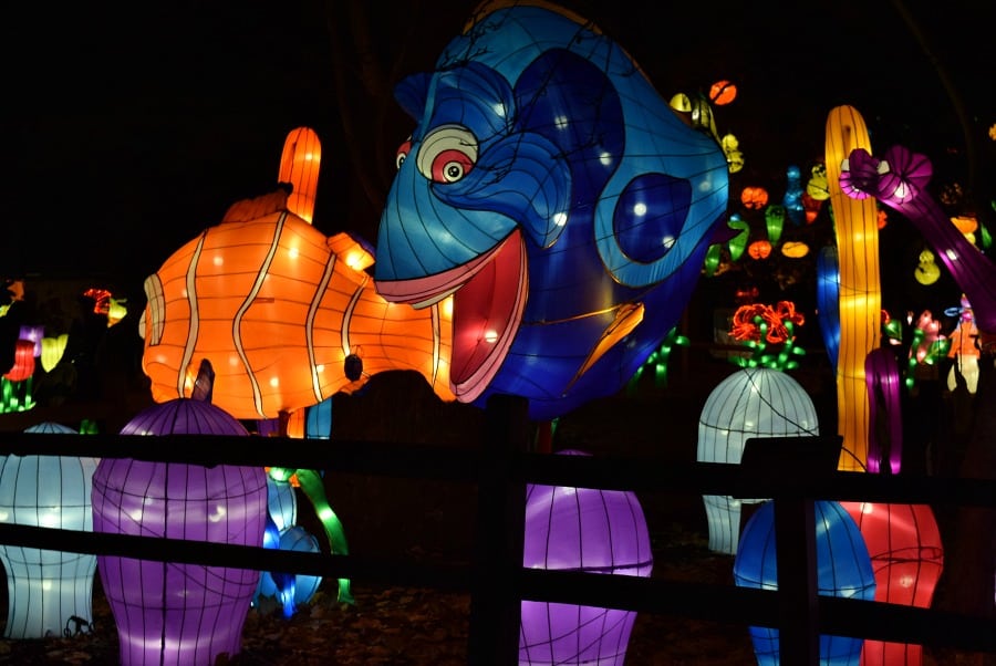 columbus ohio chinese lantern festival