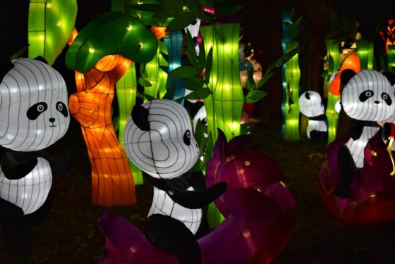 chinese lantern festival cleveland zoo