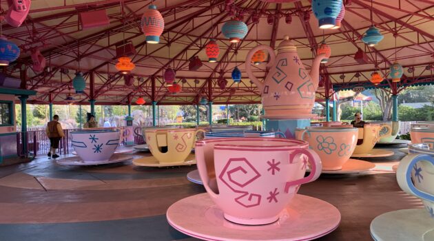 underrated experiences at disney world - classic rides like the teacups