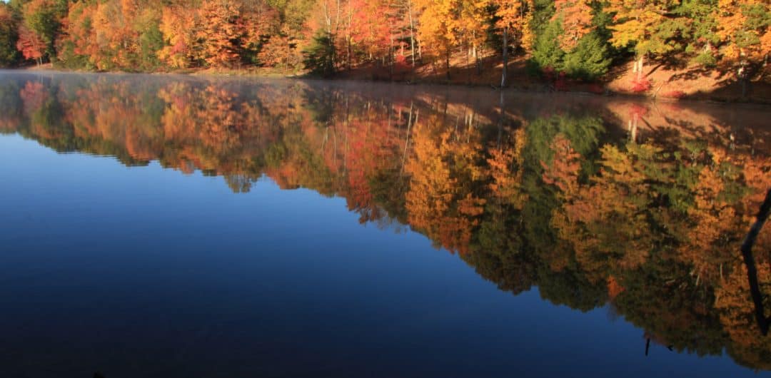 The Ultimate Ohio Travel Guide: 12 Insider Questions Answered 5 Rose Lake in Hocking Hills, Ohio. Photo Credit: Amy Weirick