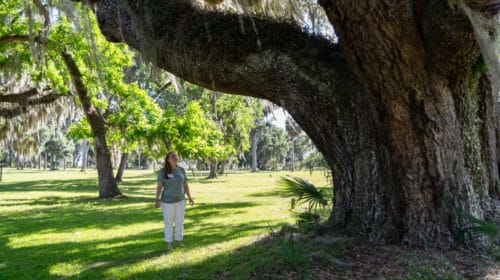 Romantic things to do in St. Simons Island for couples: Fort Frederica