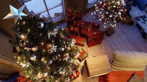 10 Best Christmas Tree Tips & Tricks - live christmas tree top down