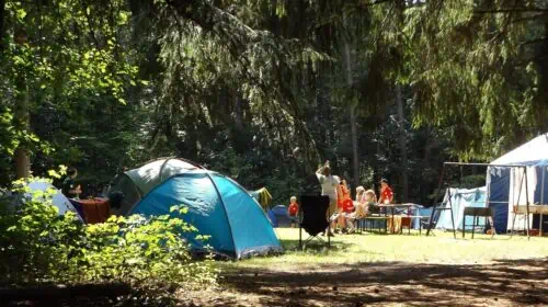 camping solo with kids - How To Stay Safe During a Camping Trip - summer camping Advice To Ensure Your Next Family Camping Trip Is A Success How Camping Trips Create a More Relaxed Travel Experience