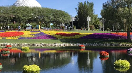 Epcot gardens