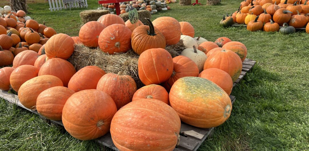 Festival Country Indiana Kelsay Farms