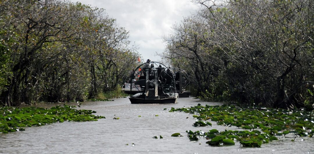 things to do in orlando swamp buggy tour