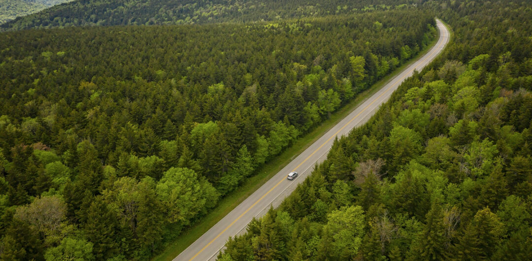 Monongahela National Forest