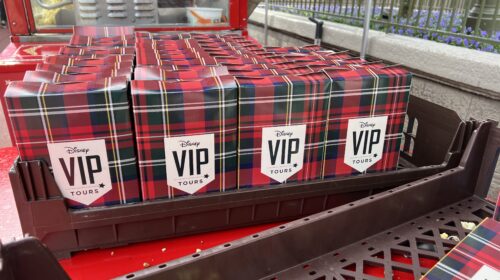 Splurge at disney world Perks of DVC Membership at Walt Disney World - vip tour discounts