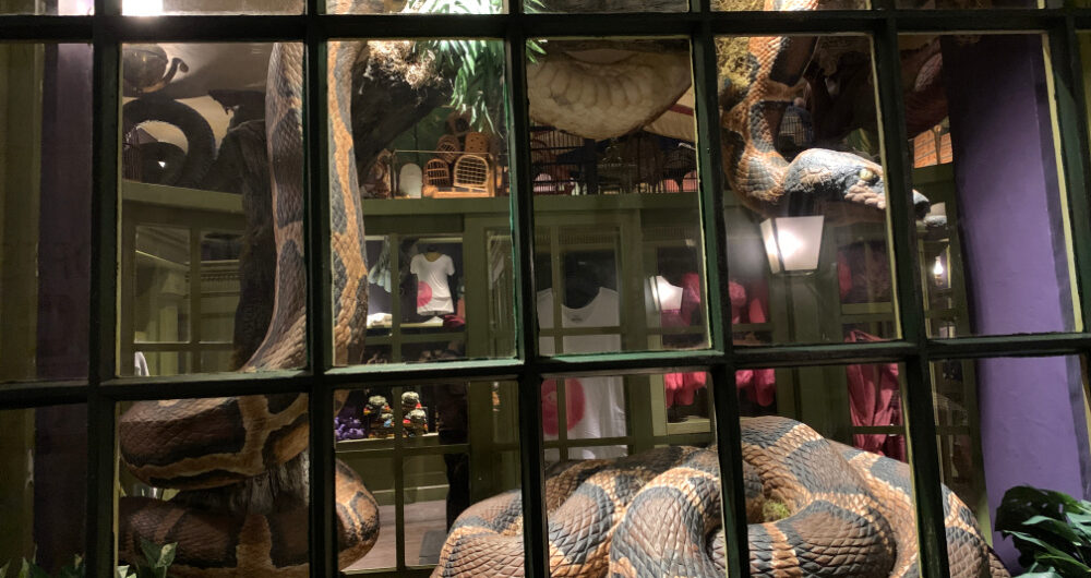 Universal Orlando Wizarding World of Harry Potter Easter Eggs - nagini parseltongue