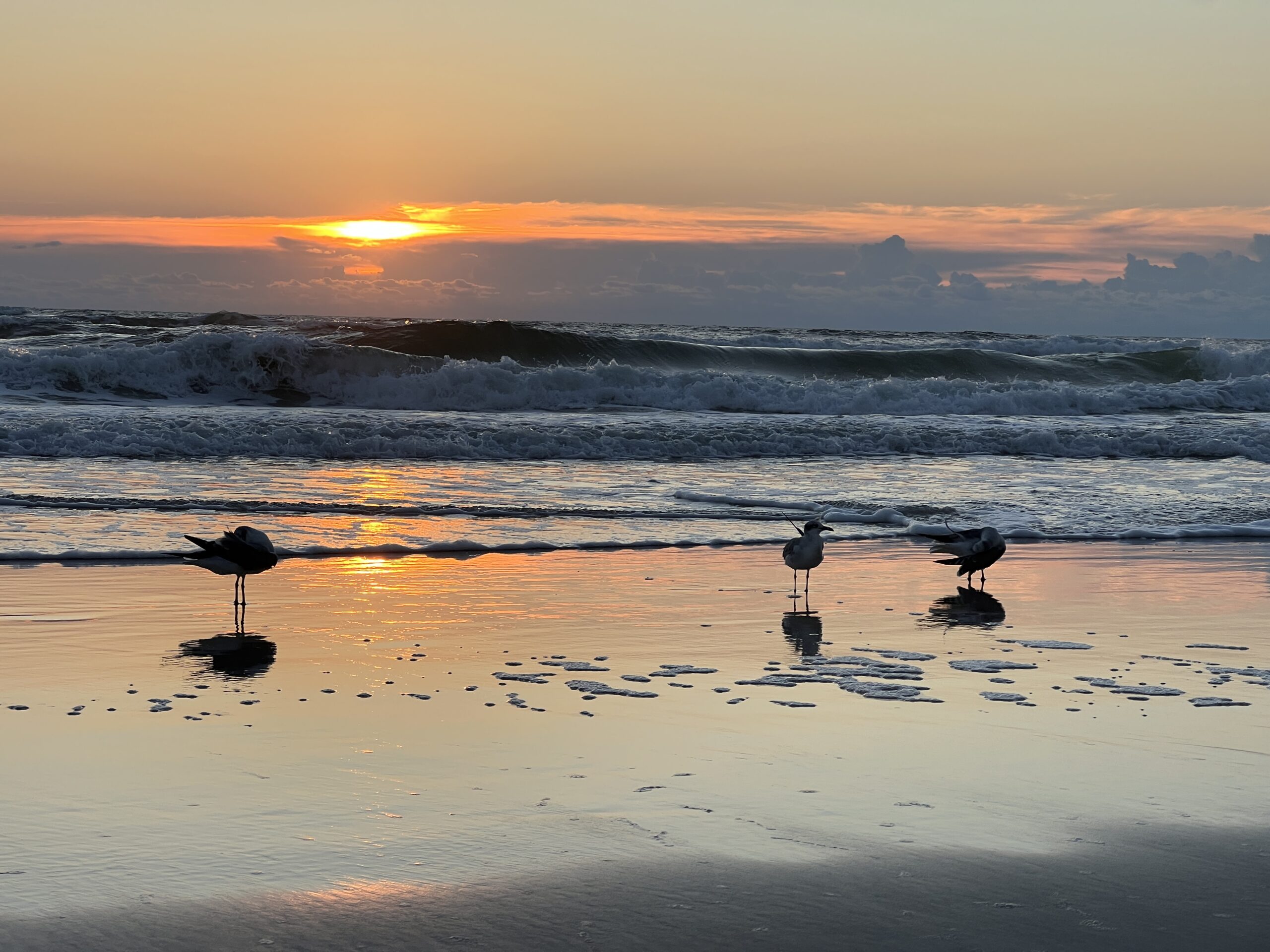 11 Best Things to Do in Daytona Beach Year-Round - Sand and Snow