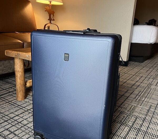Level8 suitcases medium size upright
