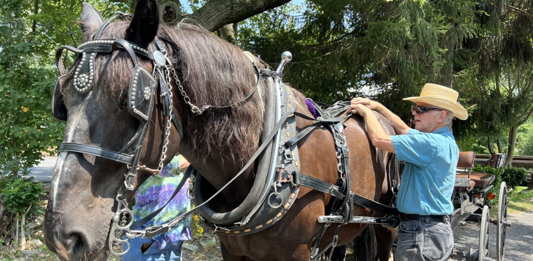 Essential Things to Do in Juniata River Valley, PA - take an amish cart ride