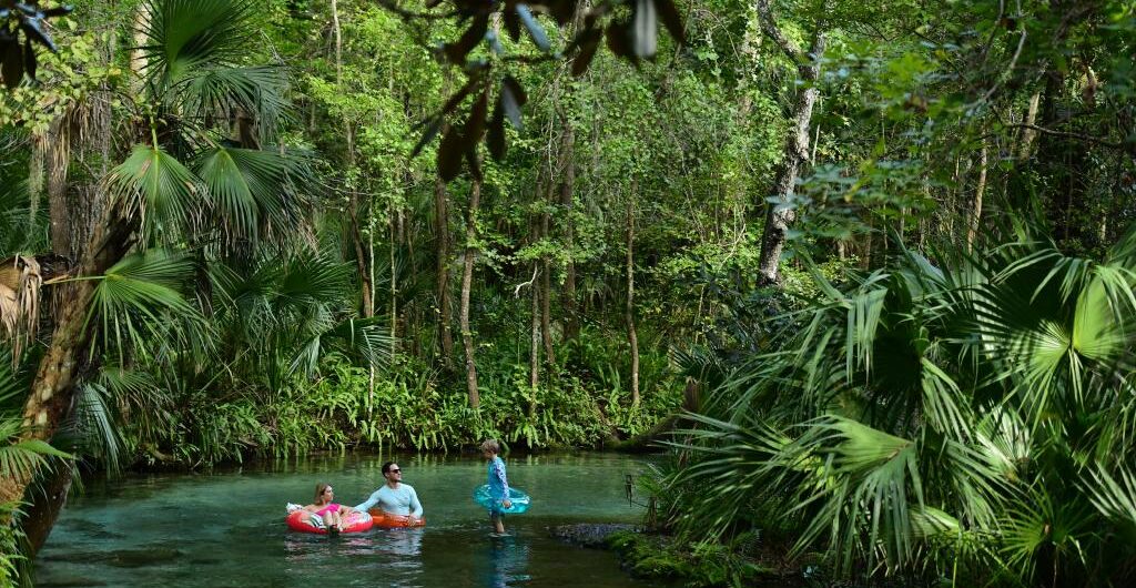 The 5 Best Non-Theme Park Day Trips From Orlando 4 Apopka Wekiwa Springs State Park Rock Springs Run Tubing 13
