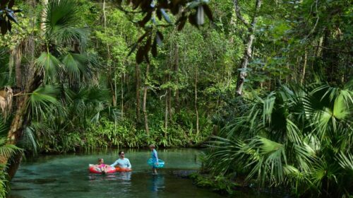Apopka Wekiwa Springs State Park Rock Springs Run Tubing 13