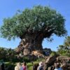 Disney Animal Kingdom - Earth Day 2026 -Tree of Life