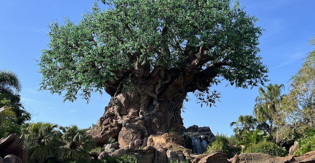 Disney Animal Kingdom - Earth Day 2026 -Tree of Life