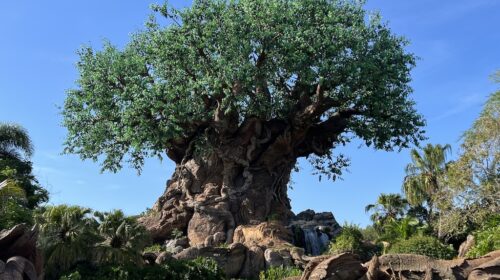 Disney Animal Kingdom - Earth Day 2026 -Tree of Life