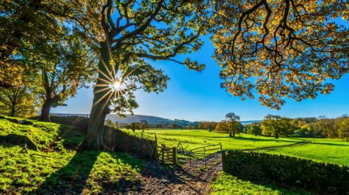 Why Hotels in Yorkshire Offer Unbeatable Value for Travelers - Farm Gate