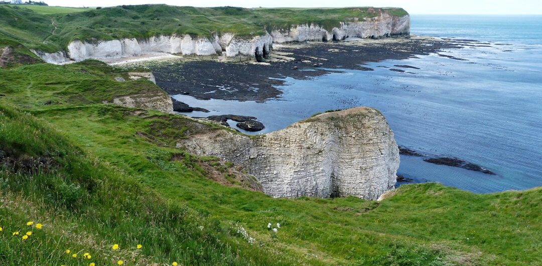 Why Hotels in Yorkshire Offer Unbeatable Value for Travelers - Flamborough Cliff in the Summer