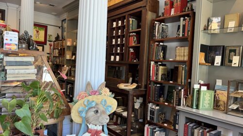 Best Bookstores in Savannah GA Books on Bay
