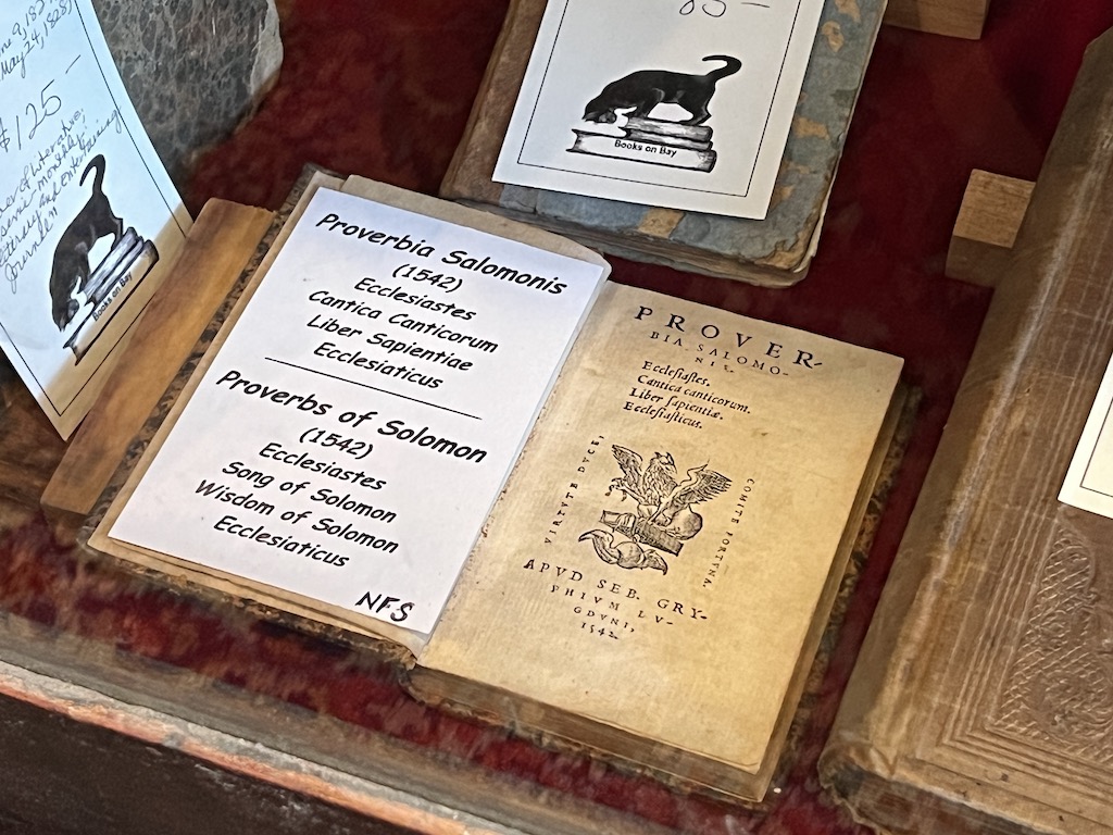 Best Bookstores in Savannah GA: Top Local Gems to Visit 4 Best Bookstores in Savannah GA Books on Bay antique book