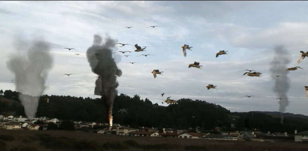 So Bad It’s Terrifying: The 13 Cheesiest Horror Movies Ever Made 4 Birdemic: Shock and Terror (2010)