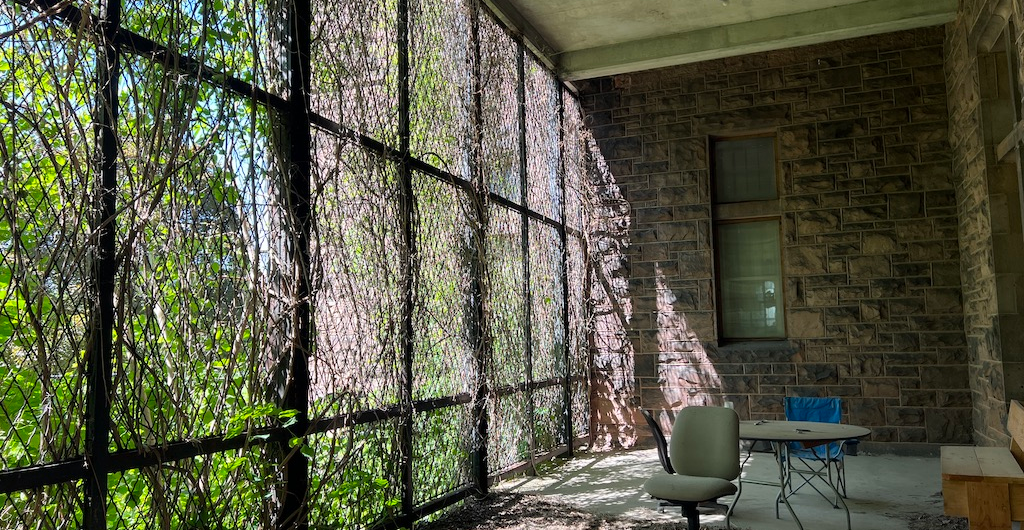 Why the Richardson Hotel Is Buffalo's Most Fascinating Stay 3 Richardson Hotel Buffalo - unrenovated wing porch