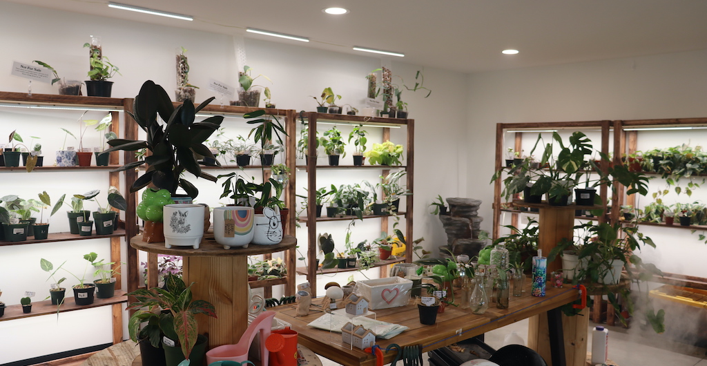 Beyond the Expected: 10 Surprising Treasures in Clarksville, Tennessee 11 Clarksville Book Shop and Plant Shop.