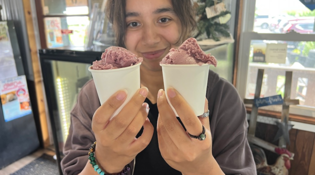 Homepage 2 cumberland valley ice cream trail - two scoops at Destiny dairy bar