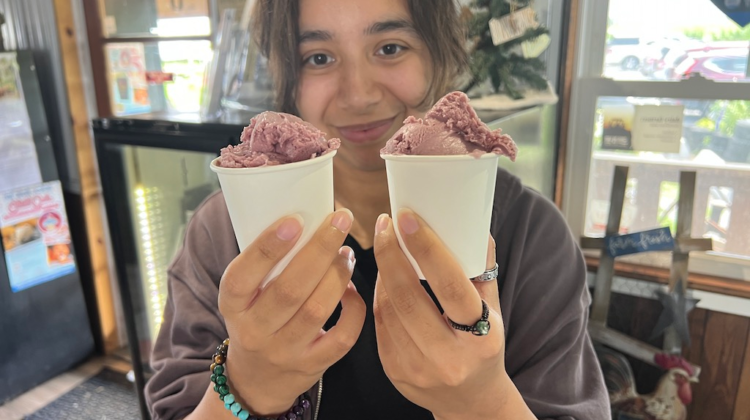 cumberland valley ice cream trail - two scoops at Destiny dairy bar
