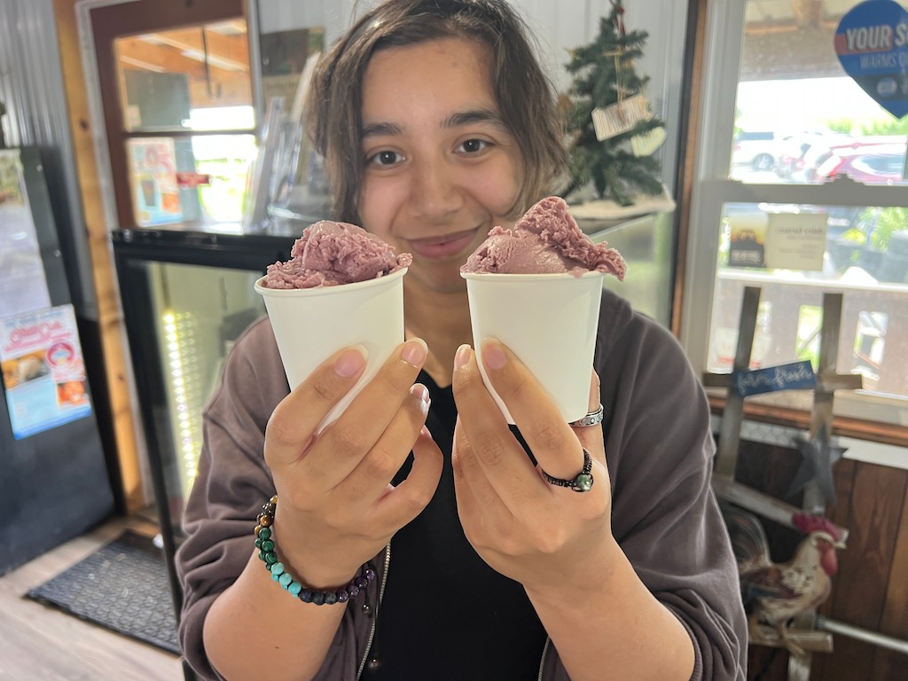 cumberland valley ice cream trail - two scoops at Destiny dairy bar