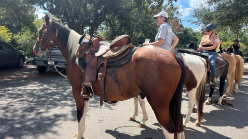 Aiken SC Thoroughbred Country -horseback tours