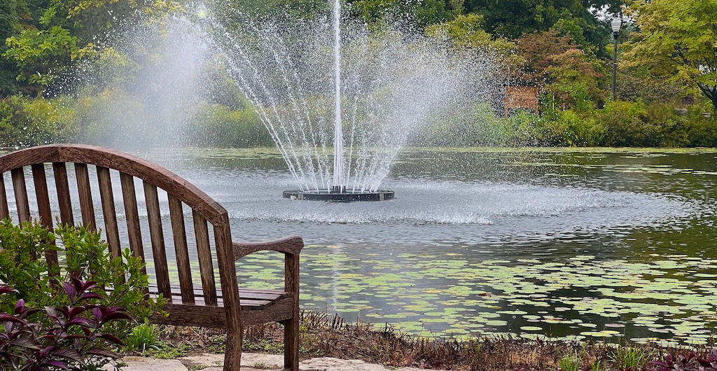 The Ultimate Elkhart County IN Fall Getaway: Northern Indiana’s Best Kept Secret 11 Elkhart County IN Fall Getaway - gardens