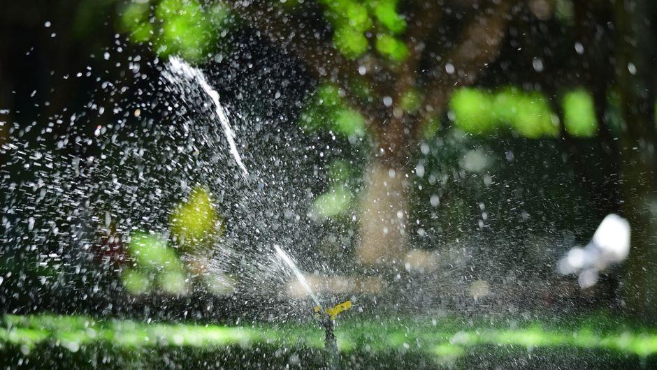 How to Keep Your Lawn Healthy When Weather and Watering Conditions Keep Changing 1 How to keep your lawn healthy